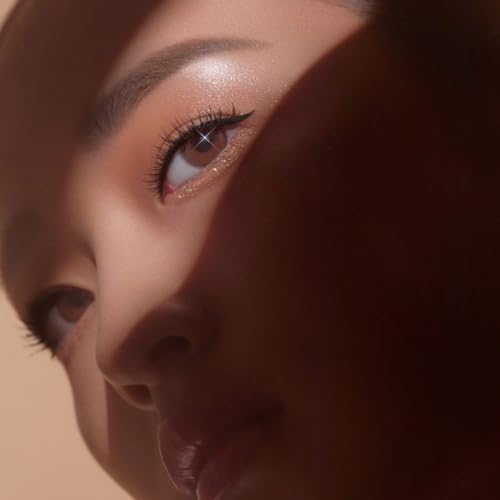 DEAR DAHLIA Paradise Dream Precision Pro Liquid Eyeliner Noir Fast-drying, Water-resistant, and Smudge-proof.