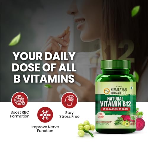 HIMALAYAN ORGANICS Plant Based Vitamin B12 Supplement | B1,B2,B3,B5,B6,B7,B9,Moringa| Boost Energy Level | Glowing Skin For Men & Women - 120 Vegetarian Capsules