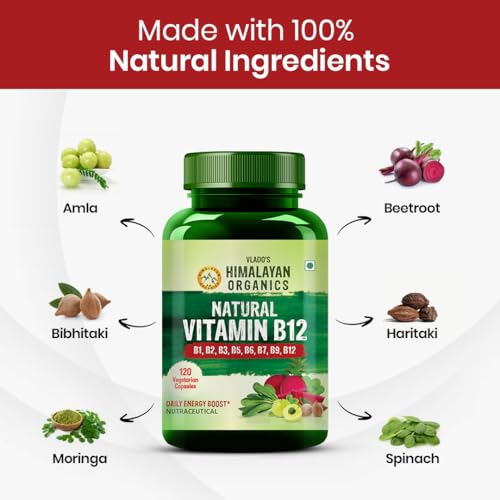 HIMALAYAN ORGANICS Plant Based Vitamin B12 Supplement | B1,B2,B3,B5,B6,B7,B9,Moringa| Boost Energy Level | Glowing Skin For Men & Women - 120 Vegetarian Capsules
