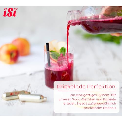 iSi CO2 Soda Siphon Charger, 10 Pack