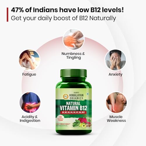 HIMALAYAN ORGANICS Plant Based Vitamin B12 Supplement | B1,B2,B3,B5,B6,B7,B9,Moringa| Boost Energy Level | Glowing Skin For Men & Women - 120 Vegetarian Capsules
