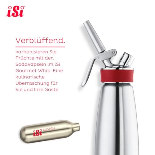 iSi CO2 Soda Siphon Charger, 10 Pack