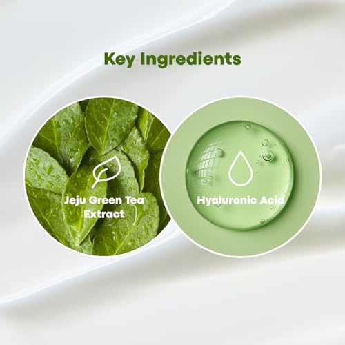 TONYMOLY The Chok Chok Green Tea Watery Lotion, 160 Milliliter (Pack of 1)