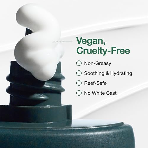 ANUA Heartleaf Silky Moisture Sun Cream SPF 50 PA++++, Korean Sunscreen, Face Sunscreen, Niacinamide, Fragrance Free, Travel Essentials, Low White Cast, 50ml /1.69fl.oz