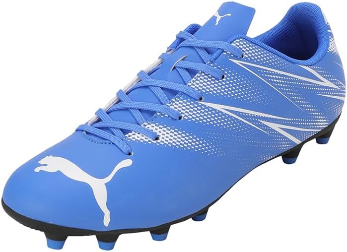 PUMA Standalones mens Low Boot