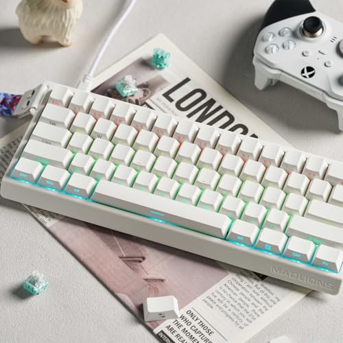 Hyekit MADLIONS MAD 60 HE RGB 60% Wired Magnetic Switch Mechanical Gaming Keyboard with Adjustable Actuation, Rapid Trigger Mode, Side Print Keycaps, 16 Million Colors RGB Lighting, for PC/Mac, White