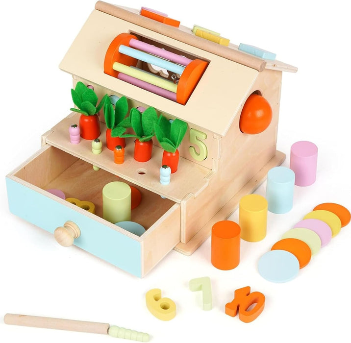 AM ANNA Montessori Toys for Babies 6-12 Months, Wooden Baby Toys, 5 in 1 Wooden Ball Drop Toy & Coin Box Montessori Toys for Babies, Wooden Toys for 1 + Year (5 IN 1)