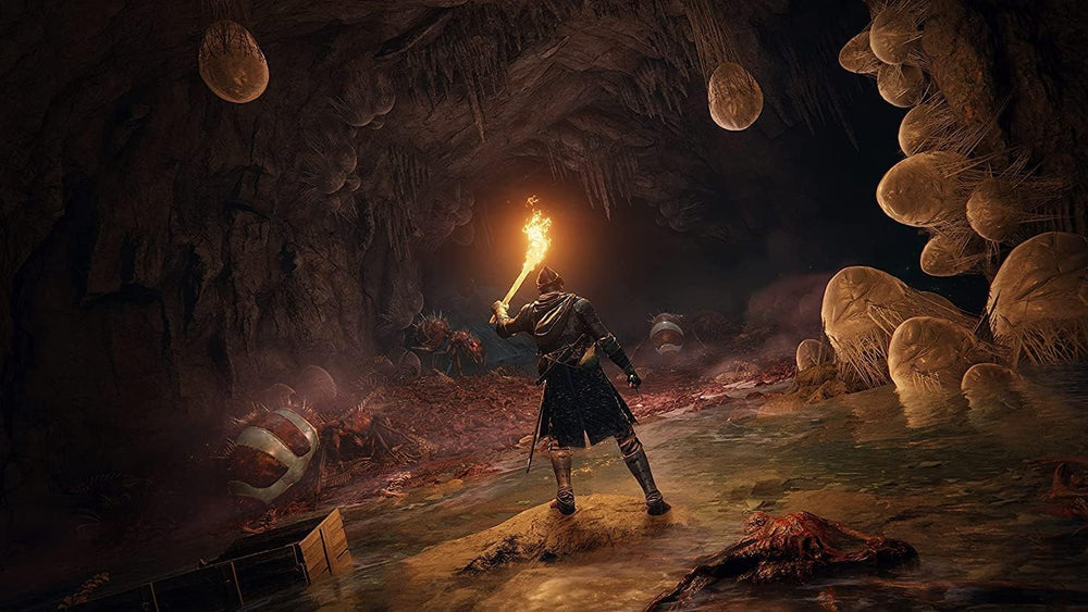 PlayStation Elden Ring (PS5)