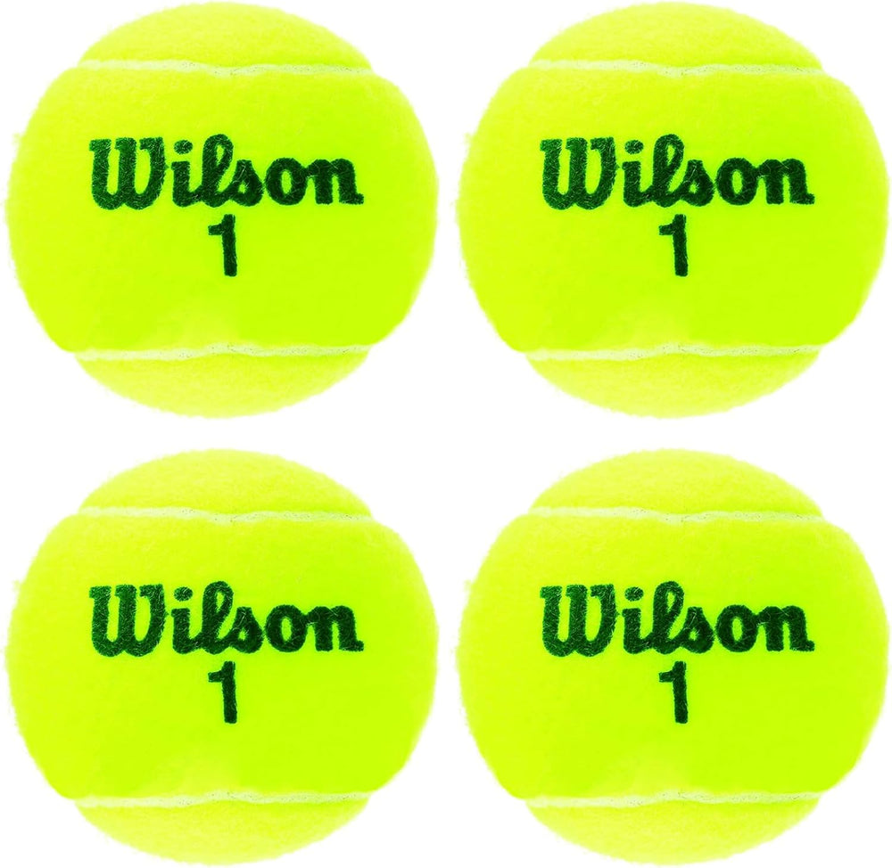 Wilson Champ Extra Duty Tennis Balls