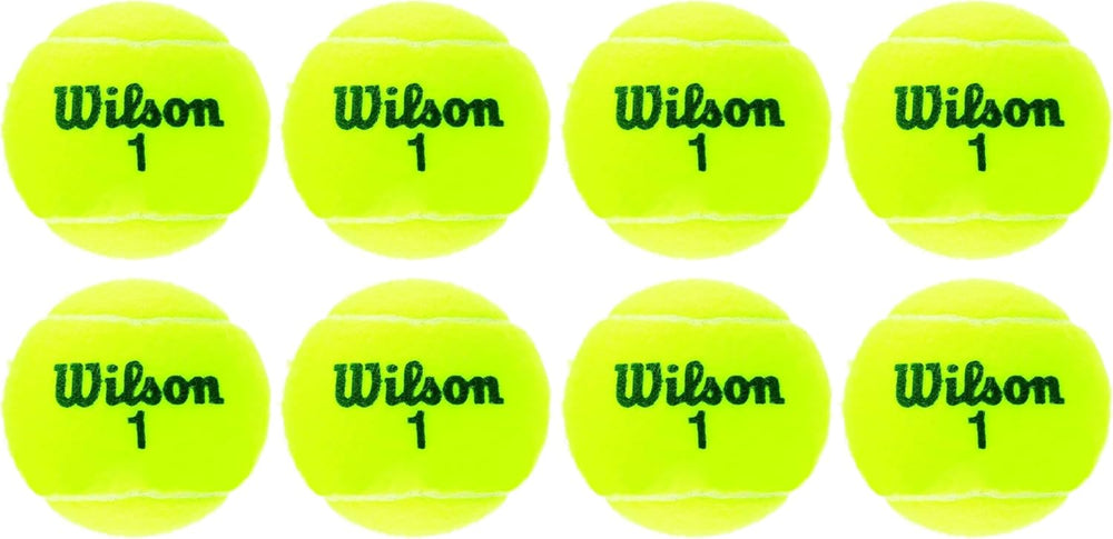 Wilson Champ Extra Duty Tennis Balls