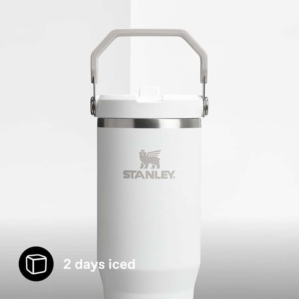 Ice Flow GO 890ml/30oz Flip Straw Wtr Btl Frost