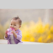 Infantino baby Water Teether |Baby Teething Toy|-Pink