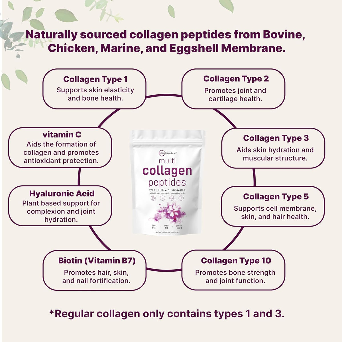 Multi Collagen Peptides Powder, 2lb (82 Servings) Hydrolyzed Type I,II,III,V,X with Biotin, Hyaluronic Acid, Vitamin C Unflavored Collagen for Women & Men, Easy Dissolve – image 3