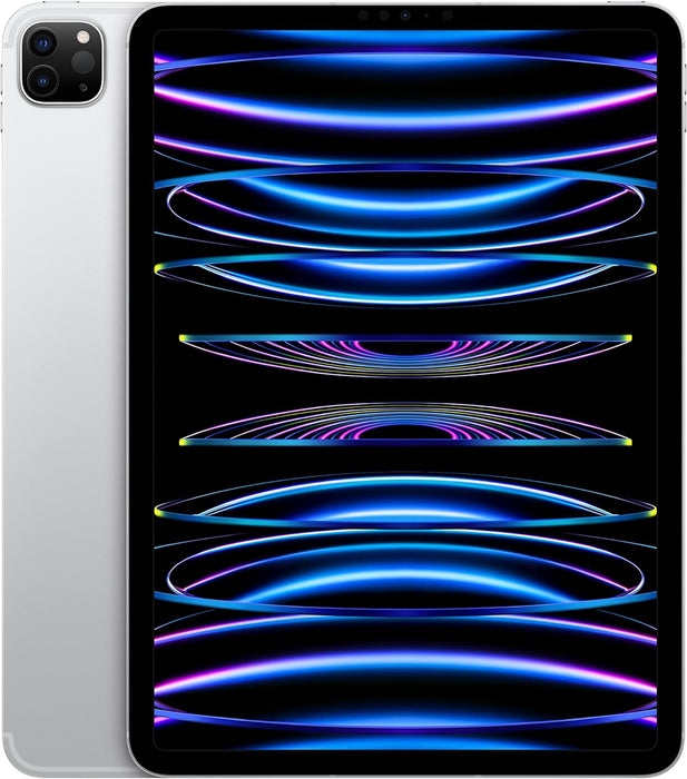 Apple 2022 11-inch iPad Pro (Wi-Fi + Cellular, 2TB) - Silver (4th generation)