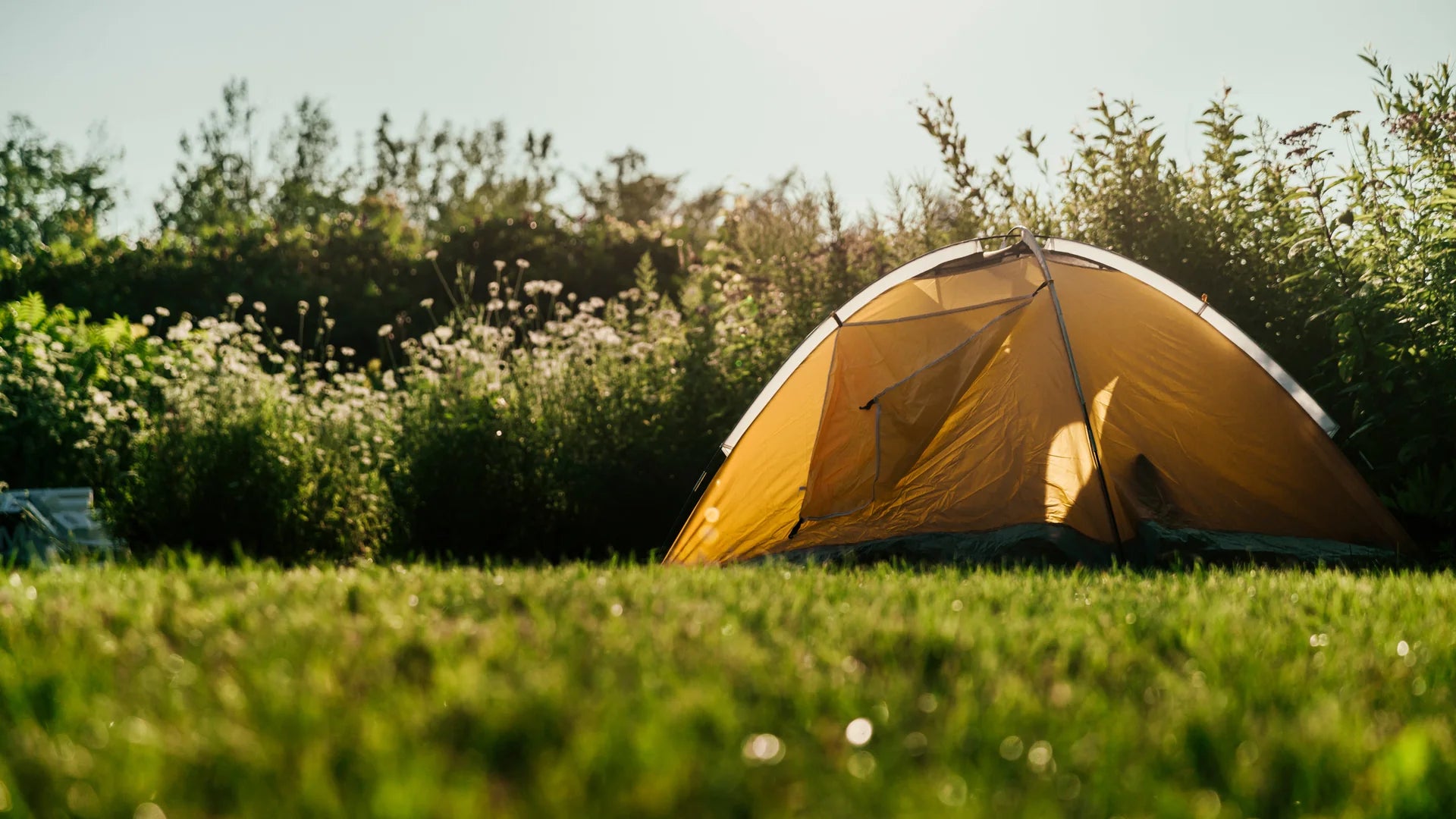 Camping & Hiking