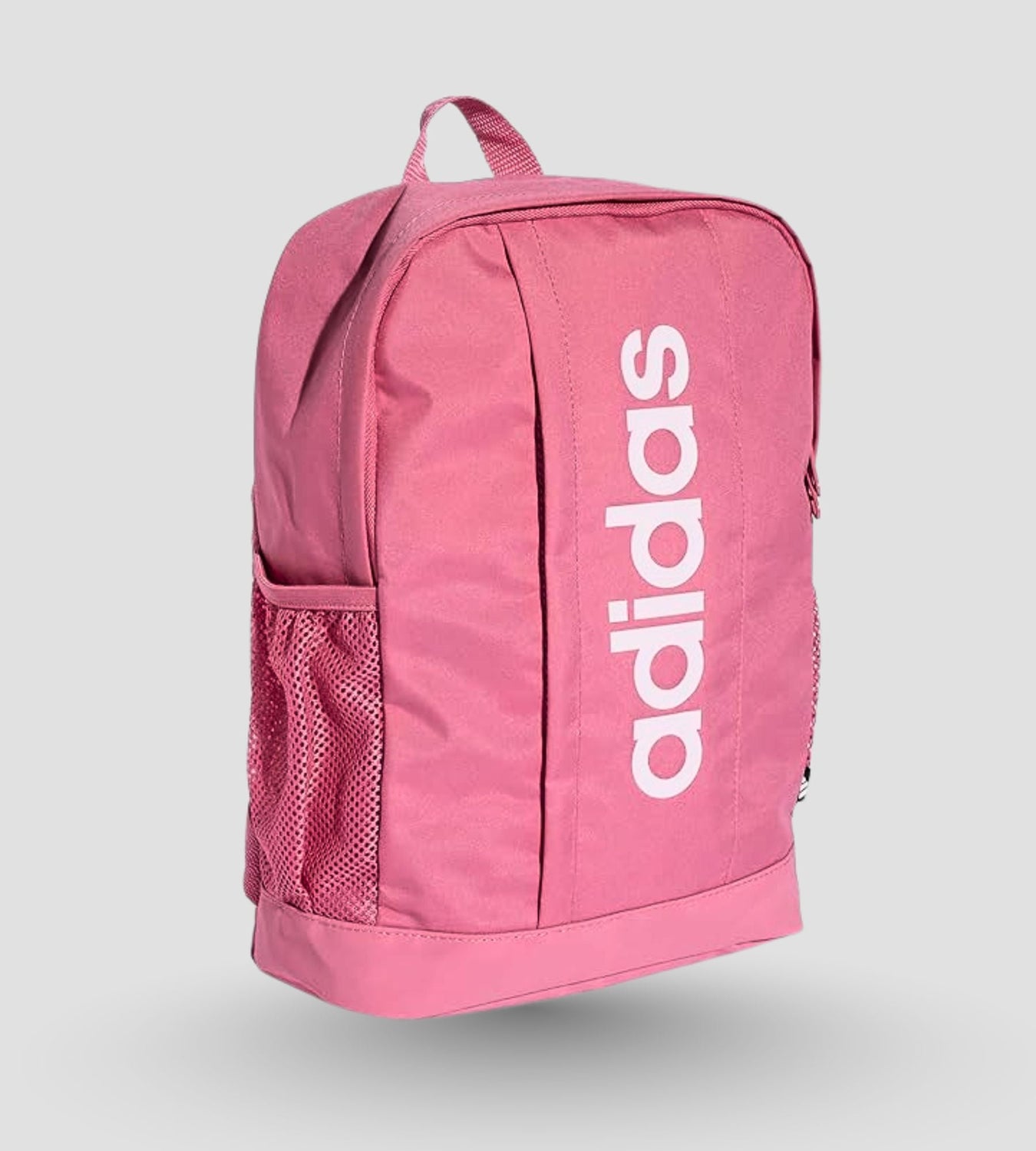 Bags & Accessories