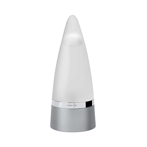 Rochas Paris Man Eau de Toilette spray 100 ml