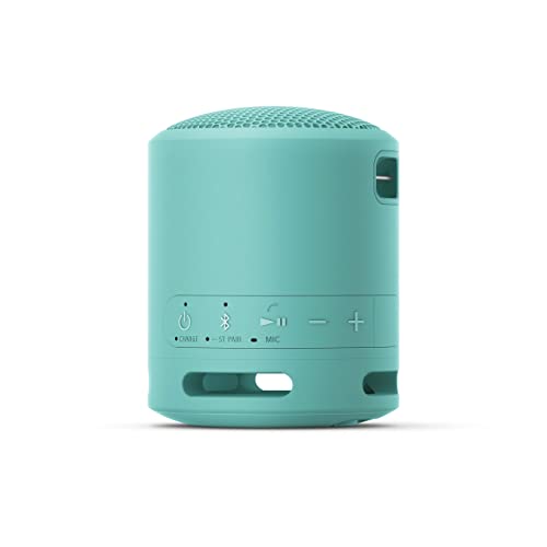 Sony Speaker Inalambrico Blue Brillante