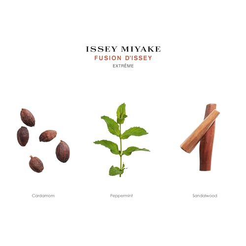 ISSEY MIYAKE FUSION D'ISSEY EXTREME INTENSE (M) EDT 100ML