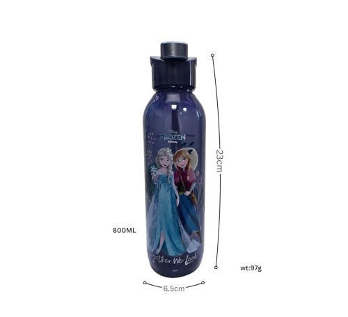 SKI WATER BOTTLE VENICE 800ML PP FROZEN