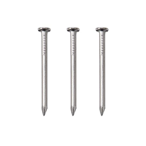 JEGONFRI 500pcs Hardware Nails, 1 Inch Nickel Plated Hanging Nails, Wall Nails for Picture Hanging, Wood Nails, Wire Nails, Small Nails (1 In)