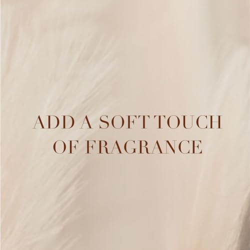 Camille Beckman Tuscan Honey Scented Talc-Free Body Powder, Perfumed Dusting Powder, , 3 Ounce