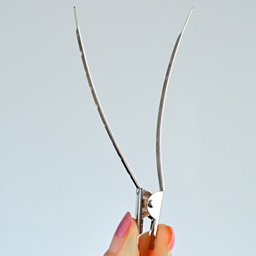 Bantoye 24 Packs Duck Bill Clips, Bantoye 3.5 Inches Rustproof Metal Alligator Curl Clips with Holes for Hair Styling, Hair Coloring, Silver