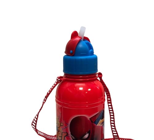 SKI WATER BOTTLE VENICE 800ML PP FROZEN