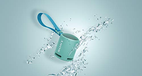 Sony Speaker Inalambrico Blue Brillante