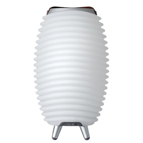 Kooduu Portable Bluetooth speaker, dimmable LED lamp, wine cooler (Synergy 35)