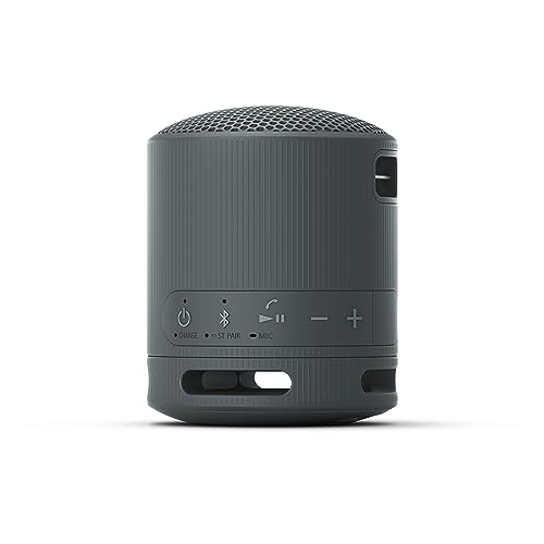 Sony XB100 Portable Wireless Speaker | Extra BASS, 16 hour battery life, IP67 Waterproof and dustproof rating - Black
