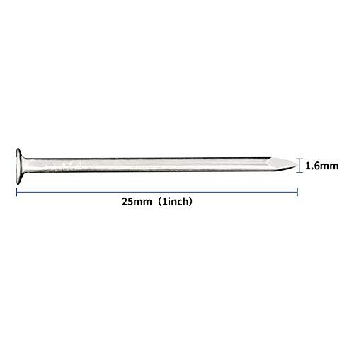 JEGONFRI 500pcs Hardware Nails, 1 Inch Nickel Plated Hanging Nails, Wall Nails for Picture Hanging, Wood Nails, Wire Nails, Small Nails (1 In)