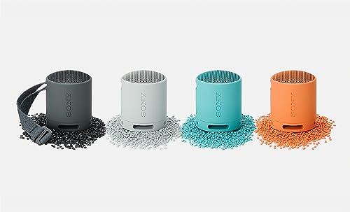 Sony XB100 Portable Wireless Speaker | Extra BASS, 16 hour battery life, IP67 Waterproof and dustproof rating - Orange