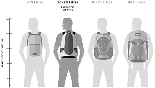 Skybags Unisex Daypack Backpack Daypack Backpack (pack of 1)