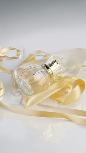 50ML 1.7 OZ Refillable Atomizer Spray Glass Empty Perfume Bottles for Travel