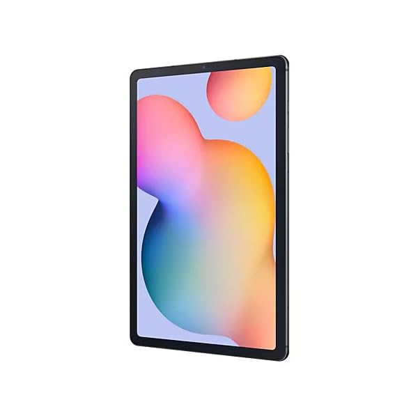 Samsung Galaxy Tab S6 Lite 4GB RAM 64GB Storage LTE Model 2024 - Oxford Gray
