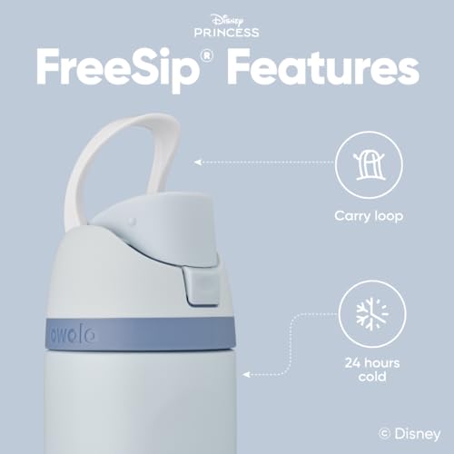 Owala Disney Princess FreeSip Insulated Stainless Steel Water Bottle with Straw for Sports and Travel, BPA-Free Sports Water Bottle, 24 oz, Cinderella