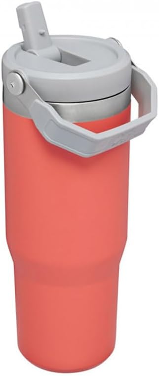 Stanley IceFlow Stainless Steel Tumbler with Straw - Vacuum Insulated Water Bottle for Home, Office or Car - Reusable Cup with Straw Leakproof Flip - Cold for 12 Hours or Iced for 2 Days