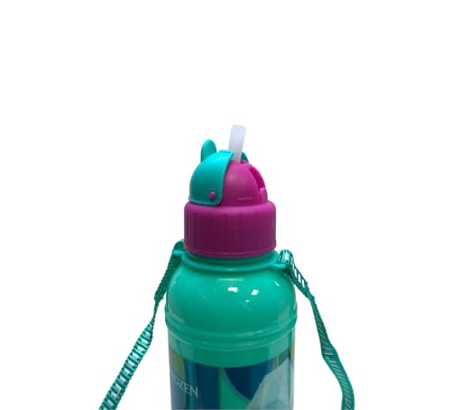 SKI WATER BOTTLE GREECE 500ML FROZEN