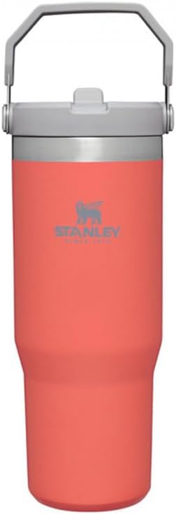 Stanley IceFlow Stainless Steel Tumbler with Straw - Vacuum Insulated Water Bottle for Home, Office or Car - Reusable Cup with Straw Leakproof Flip - Cold for 12 Hours or Iced for 2 Days