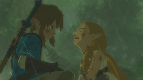 The Legend Of Zelda Breath Of The Wild Nintendo Switch Video Game (Nintendo Switch)