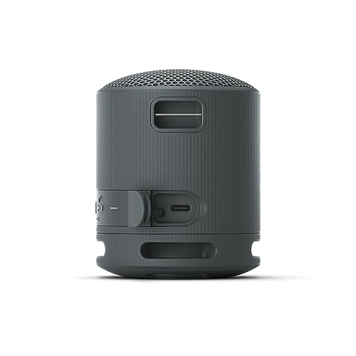 Sony XB100 Portable Wireless Speaker | Extra BASS, 16 hour battery life, IP67 Waterproof and dustproof rating - Black