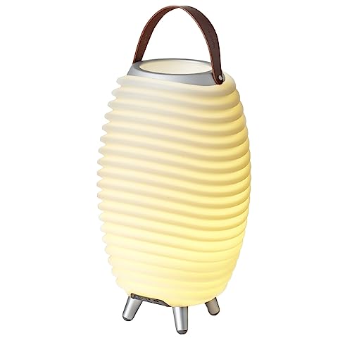 Kooduu Portable Bluetooth speaker, dimmable LED lamp, wine cooler (Synergy 35)