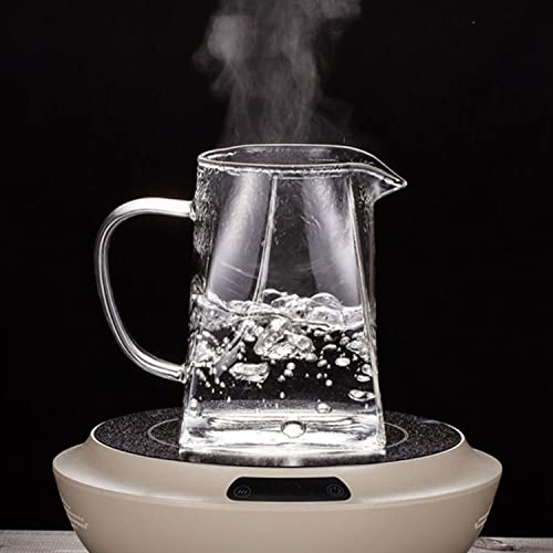 TAPIT 950ml Glass Teapot with Infuser, Borosilicate Glass Tea Kettle for Loose Leaf Tea, Transparent Teapot with Stainless Steel Removable Infuser,Microwavable and Stovetop Safe (950ml-Square)