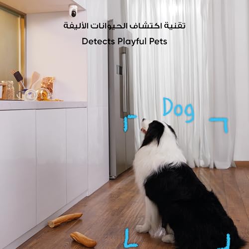 eufy Security 2K Indoor Cam Pan & Tilt, Home Security Indoor Camera, Human and Pet AI, Works with Voice Assistants, Motion Tracking, Night Vision, MicroSD Card Required, HomeBase Not Required.