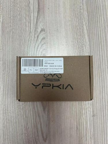 Ypkia Set of 4 Hair Clips Women's Thin Hair Medium Hair Clip Vintage Automatic Hair Clip Set for Women Girls Hair Accessories (Light Colour)