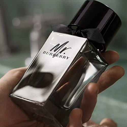BURBERRY Mr Eu De Toilette 2 x 30 ml Travel Set
