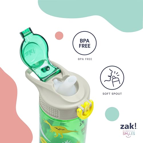 Zak Designs Sonic the Hedgehog Sage Kids Water Bottle For School or Travel, 16oz Durable Plastic Water Bottle With Straw, Handle, and Leak-Proof, Pop-Up Spout Cover, 2-Pack Set (Sonic & Shadow)