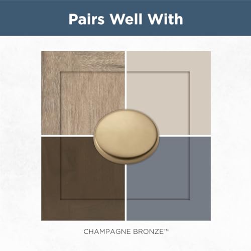 Franklin Brass Straight Bar Cabinet Pull, Champagne Bronze, 4 in (102mm) Drawer Handle, 10 Pack, P29617Z-CZ-B