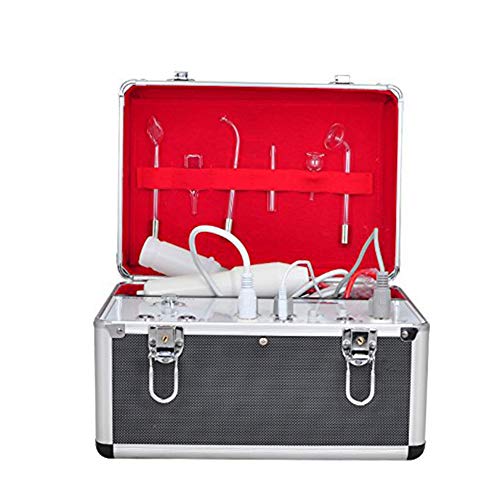 ZZYYZZ Portable 5 in 1 Multifunction Facial Machine Galvanic, High Frequency Galvanic Facial Brush, Massage Brush, Vacuum Extractor, Spray Diffuser